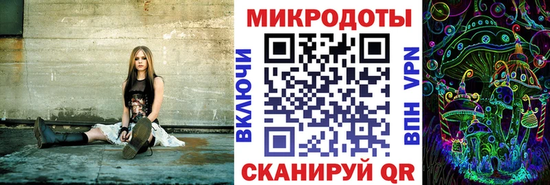 Псилоцибиновые грибы Psilocybe  Вилюйск 